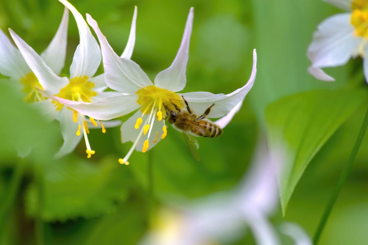 Buzz Words and Sayings