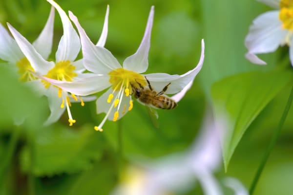 Buzz Words and Sayings